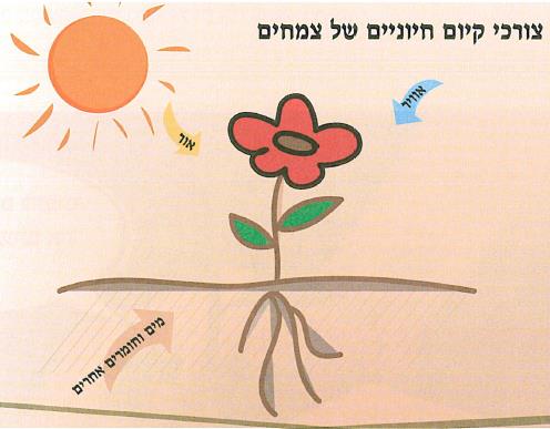 (בספר איור של:)